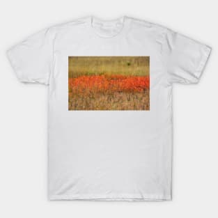 Nature's Rothko T-Shirt